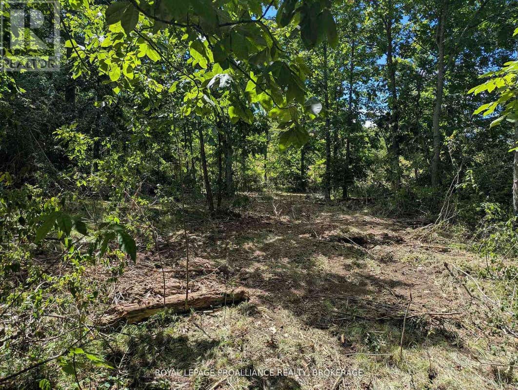 2621 4TH CONCESSION ROAD