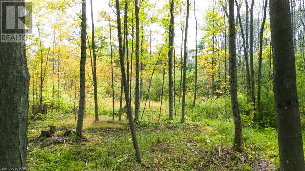 3590 ALTON Road, Harrowsmith, ON K0H1V0 À vendre RE/MAX 40668671