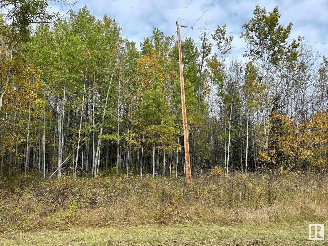 Twp 625 RR 210, Rural Thorhild County, AB T0A2P0 Land For Sale RE/MAX