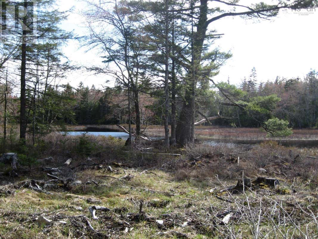 77 BEAR COVE ROAD