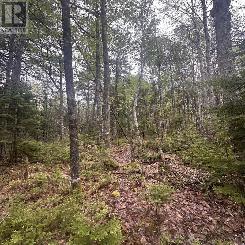 LOT 22 MOOSE PIT ROAD
