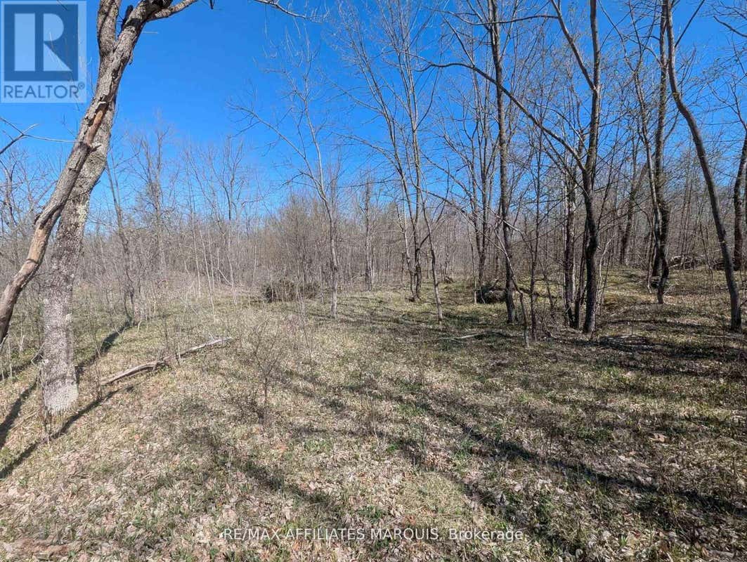 0 LITTLE CROSBY LAKE ROAD