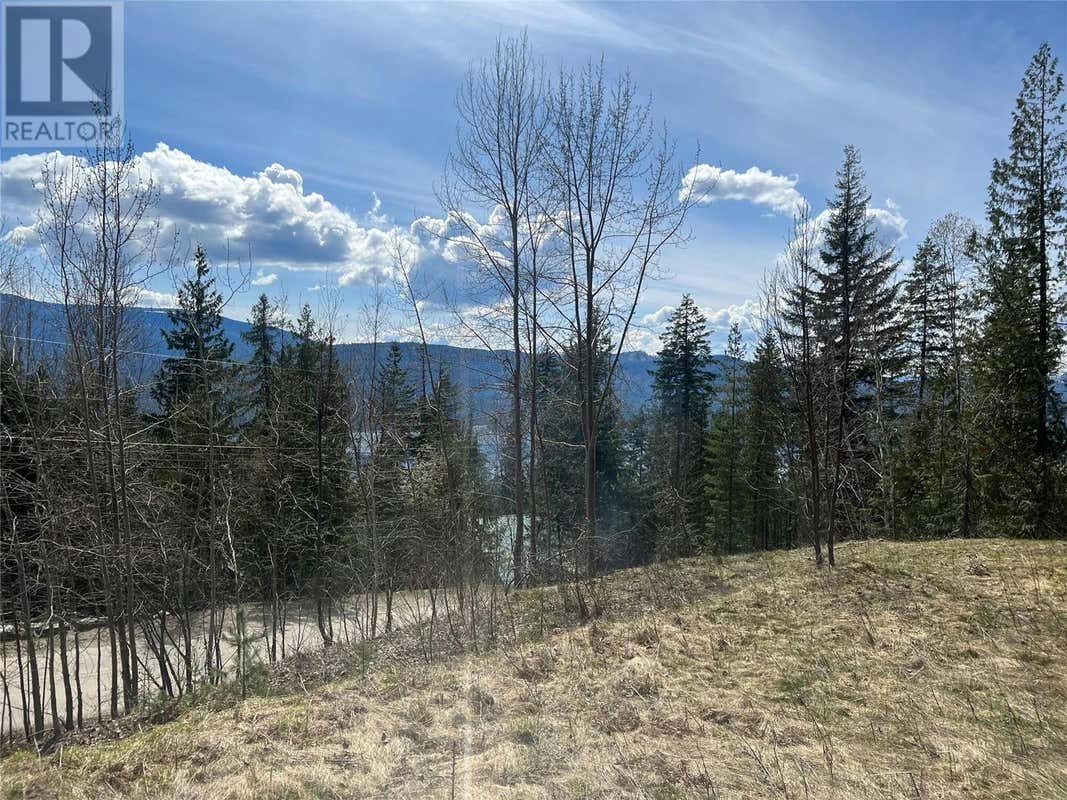 7497 Anglemont Way, Anglemont, BC V0E1M8 House For Sale RE/MAX 10322645