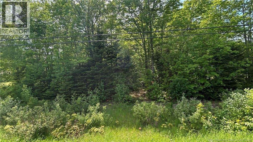 LOT ROUTE 135