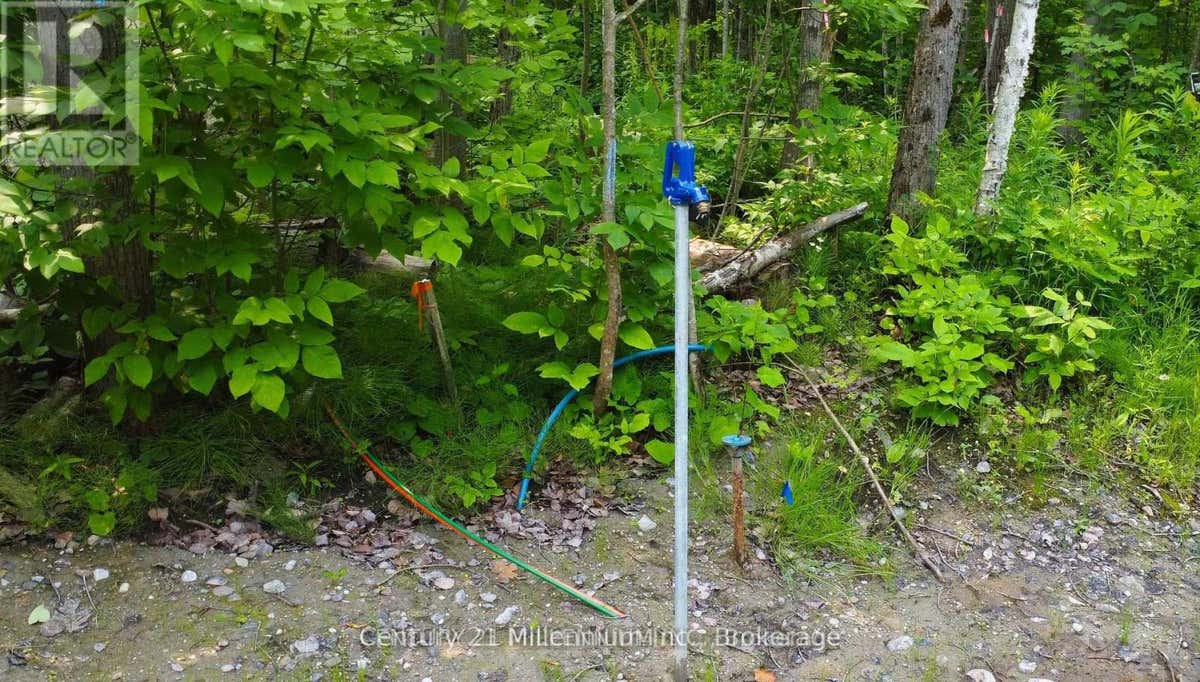 LOT 52 TINY BEACHES ROAD N