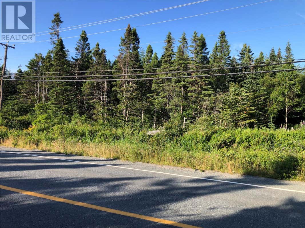 574 CONCEPTION BAY HIGHWAY