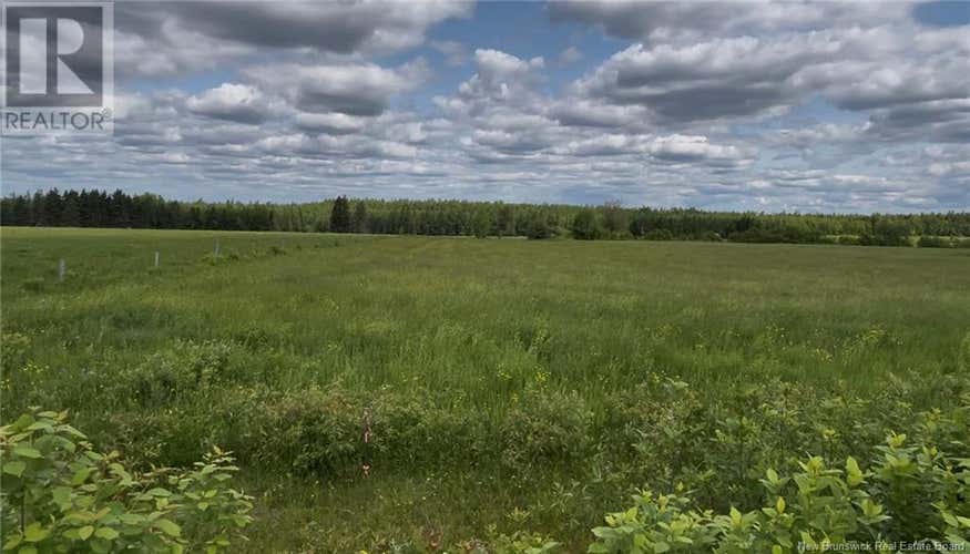 24-5 Harrington Road