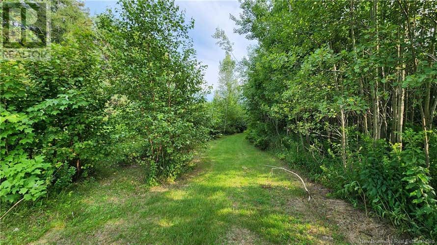 7.6 acres Rue Pinet