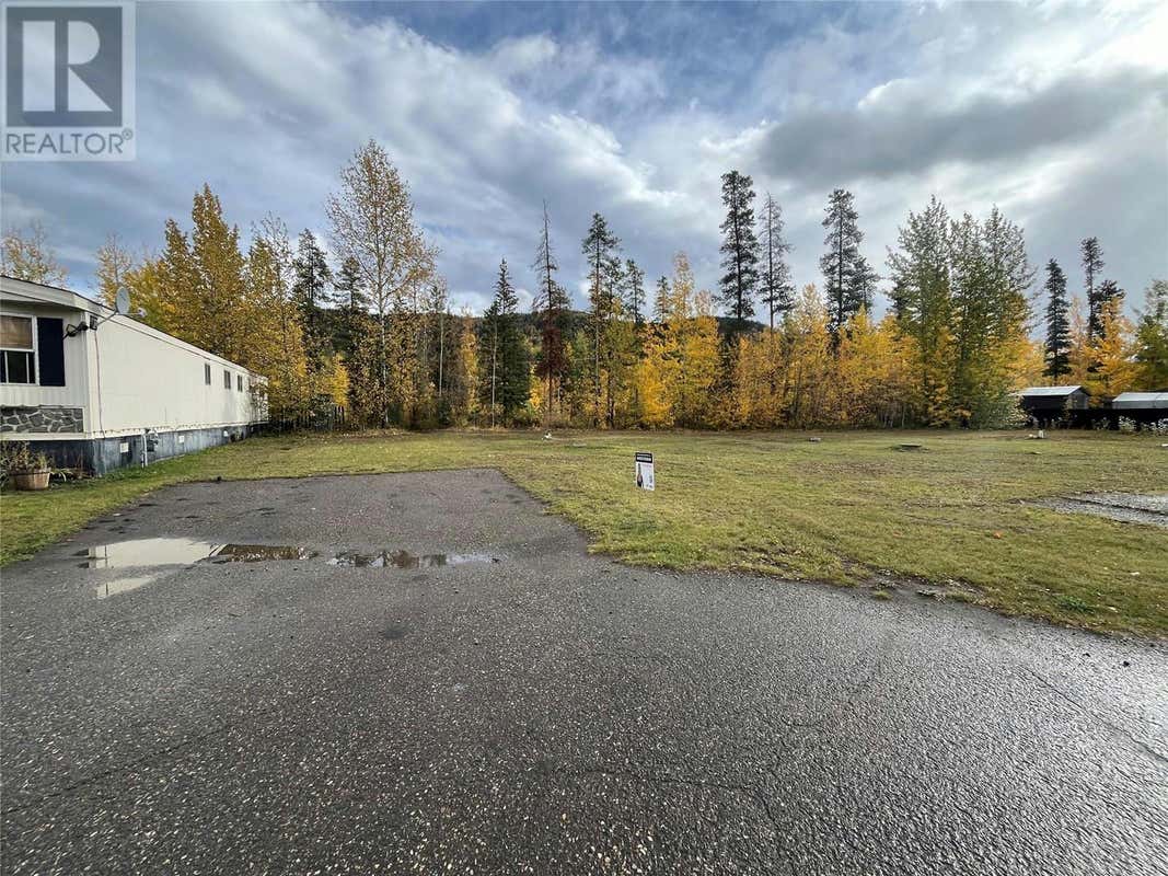 219/220 Steeprock Close, Tumbler Ridge, BC V0C2W0 Land For Sale RE