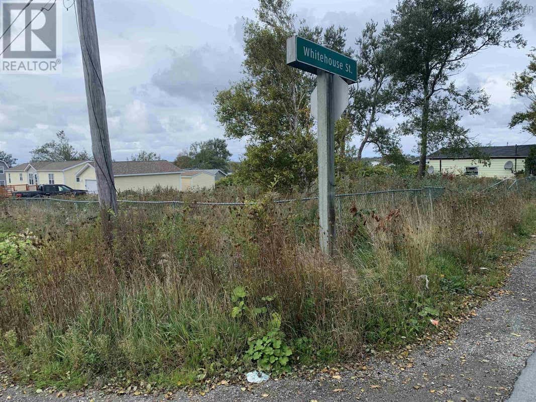 38 Queen Street, Scotchtown, NS B1H3G7 Land For Sale RE/MAX 202424272
