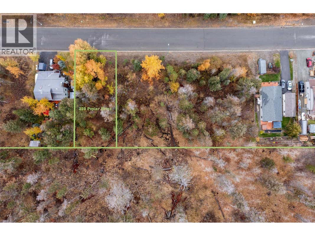 339 POPLAR DRIVE