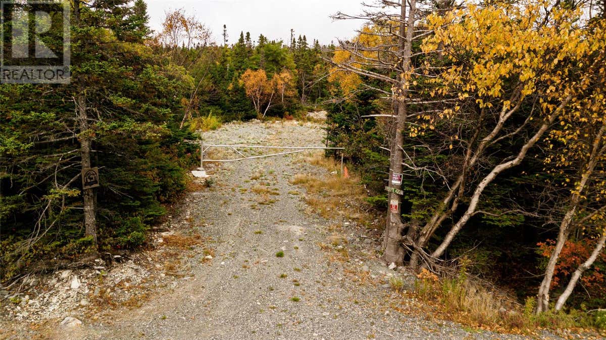 X CAPE POND ROAD