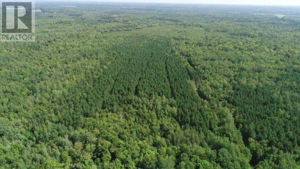 acreage, West Devon, PE C0B1H0 Land For Sale RE/MAX 202424280