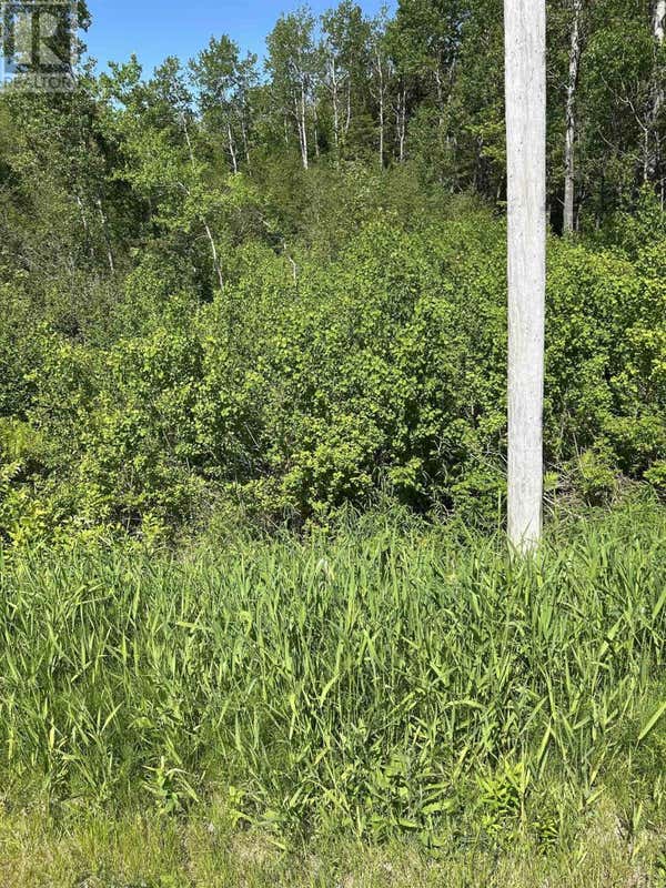 LOT 2 STEWOOD DRIVE