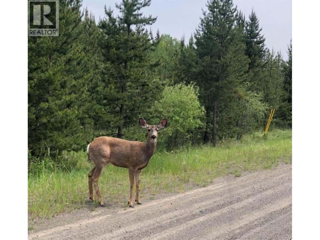 LOT 1 5916 LITTLE FORT 24 HIGHWAY
