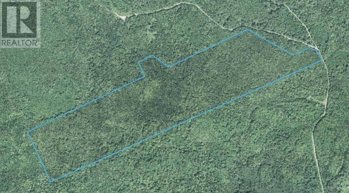 Acreage MacIntosh Mountain Road, West Bay, NS B0E3L0 Land For Sale RE