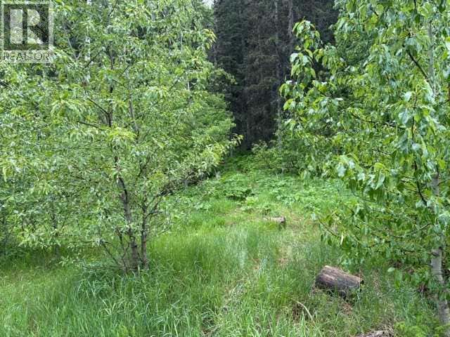 229 MOUNTAIN LION DRIVE