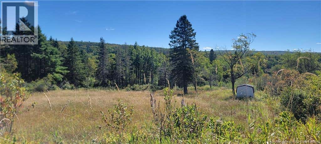 Lot 01-1 Route 121