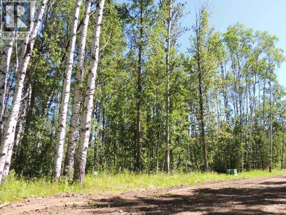 LOT #20 WAPITI RIVER SW-21-69-10-W6