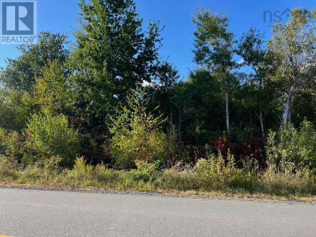 LOT VS1 Baxters Harbour Road, Baxters Harbour, NS B0P1H0 Land For Sale RE/MAX 202423543