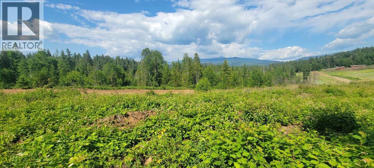 DL 2620 YELLOWHEAD HIGHWAY UNIT# LOT 1
