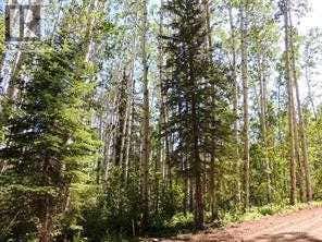 LOT #10 WAPITI RIVER SW-21-69-10-W6