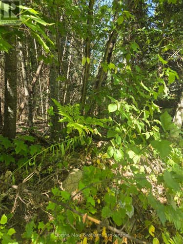 0 MACDUFF ROAD ACRES E