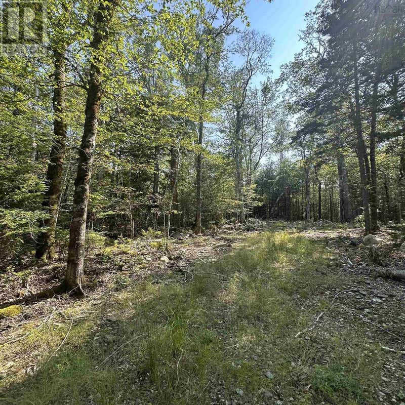 LOT 49 ISLAND VIEW TERRACE