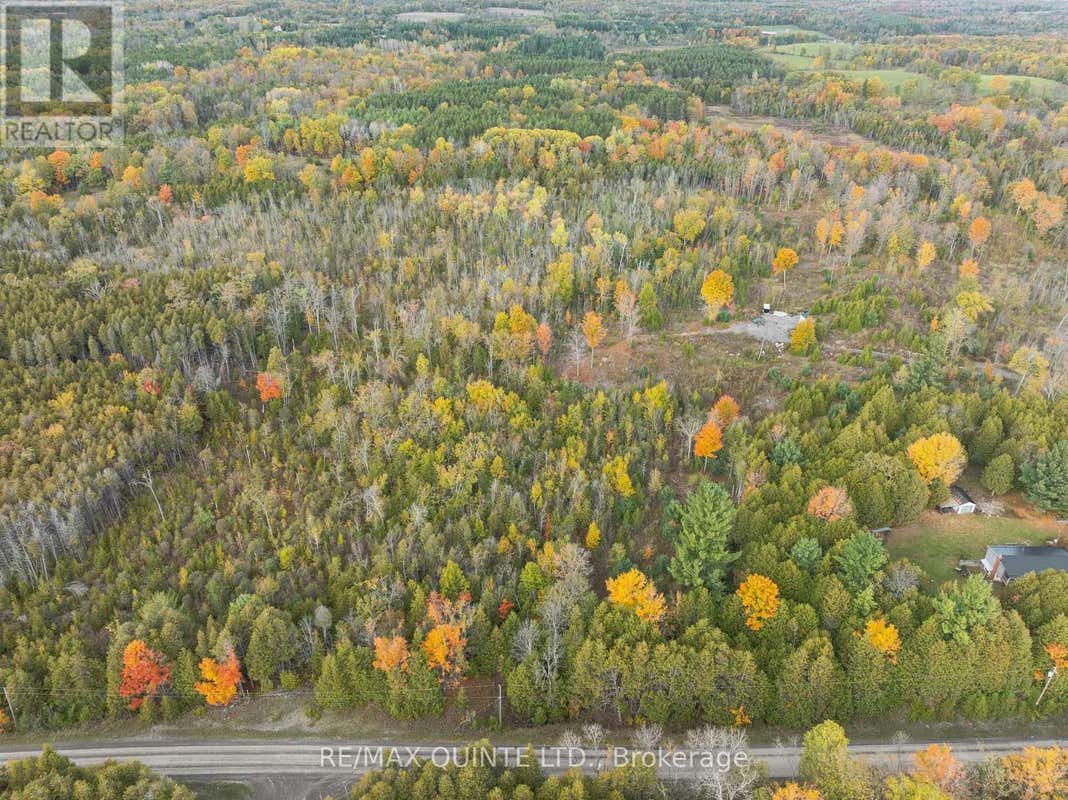 467 SLAB STREET, Centre Hastings, ON K0K2K0 Land For Sale RE/MAX