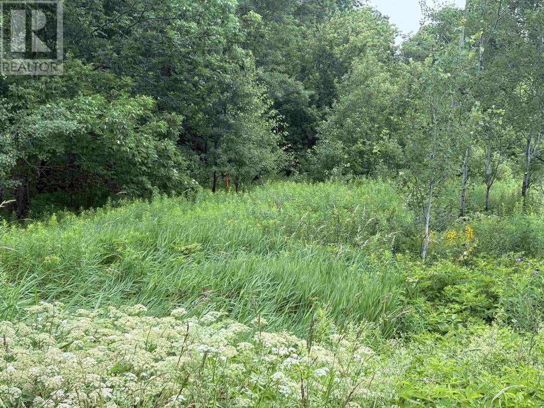 LOT 235 LANDSDOWNE STATION ROAD