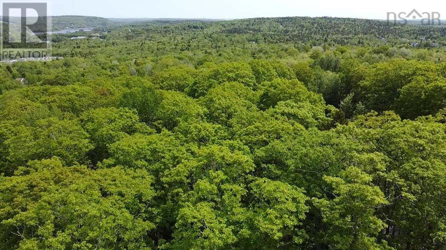 Confederation Avenue