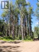 LOT #7 WAPITI RIVER SW-21-69-10-W6
