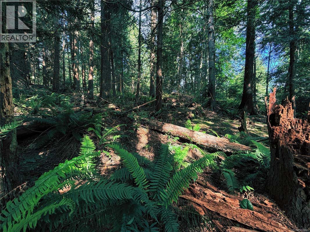 LOT 6 SPRUCE AVE