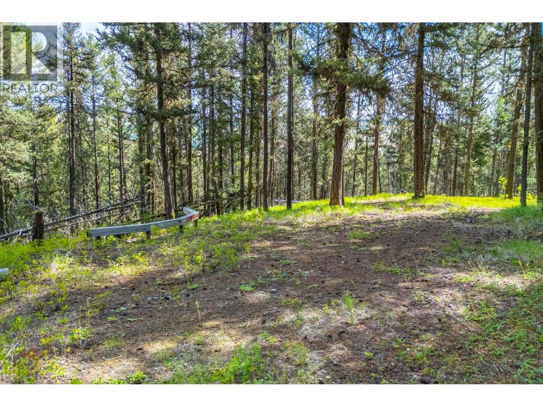 537 WILD ROSE DRIVE