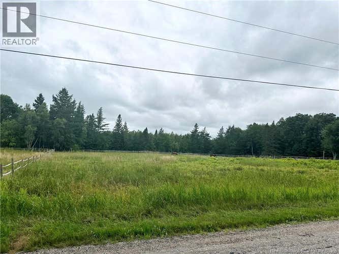 Collina Road