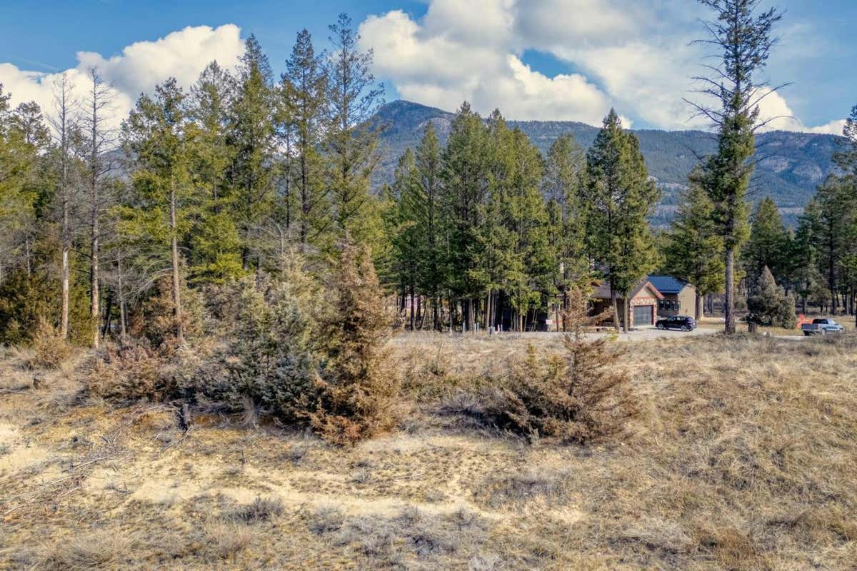 Lot 41 PEDLEY HEIGHTS DRIVE, Windermere, BC V0B2L2 Land For Sale RE