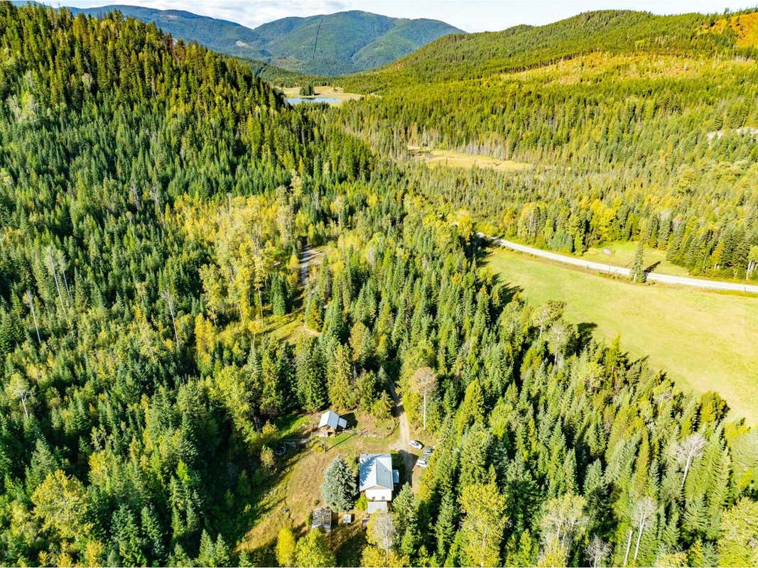 9905 HIGHWAY 6, Salmo, BC V0G1Z0 House For Sale RE/MAX 2479740