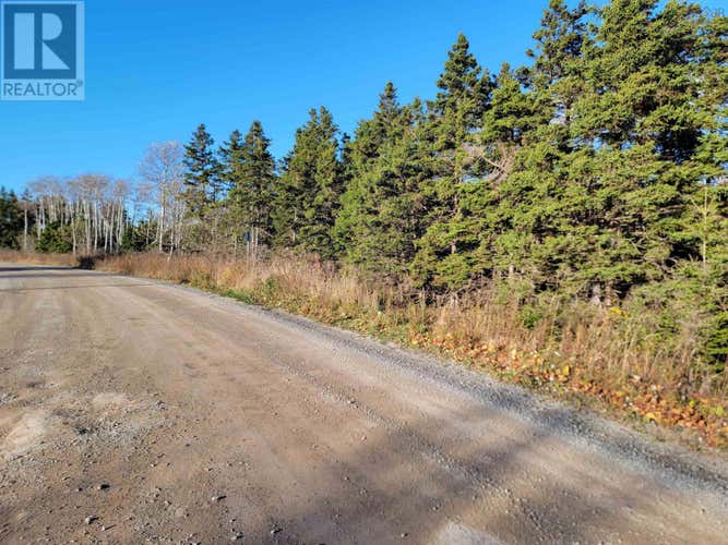 Bona Road