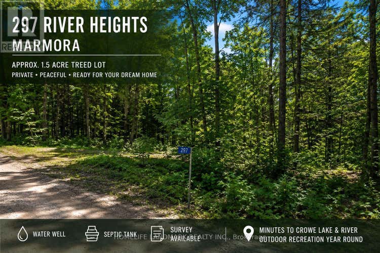 297 RIVER HEIGHTS