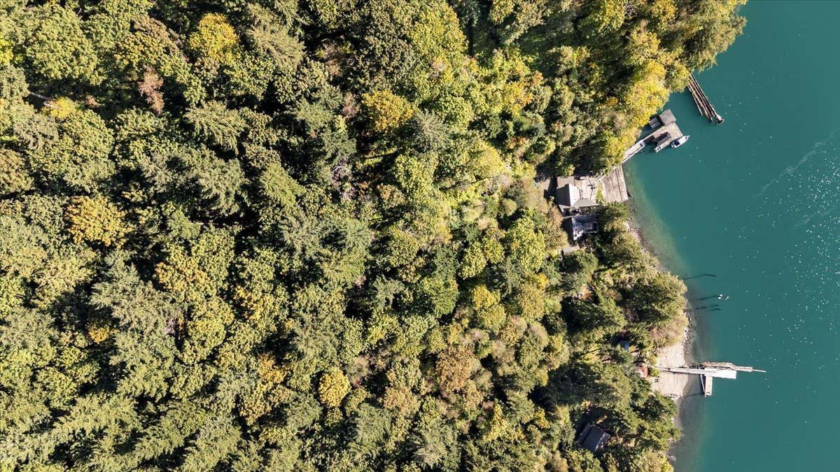 LOT 179 YALE DIVISION YALE DISTRICT LAKE, HARRISON LAKE