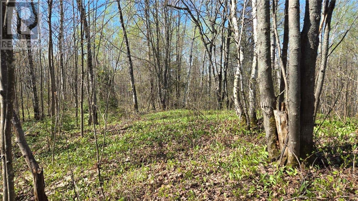 LOT 6 CON 3 RABBIT TRAIL ROAD