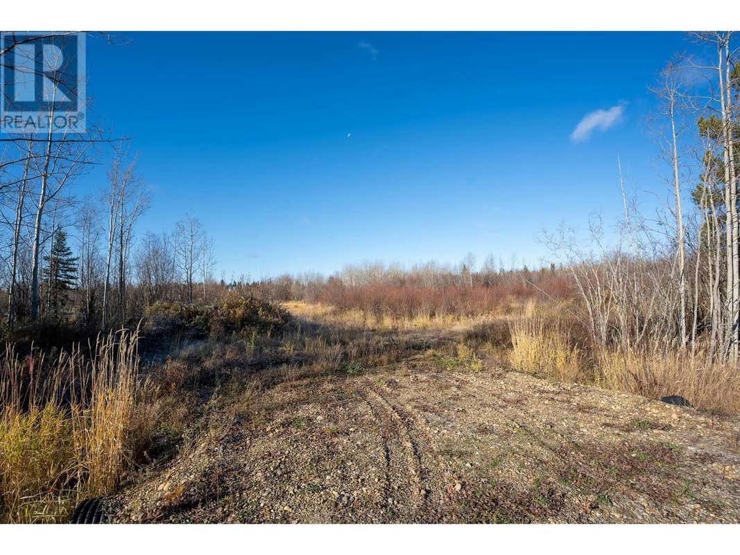 LOT 2 PARSNIP ROAD, Prince BC V2N6E8 Land For Sale RE/MAX