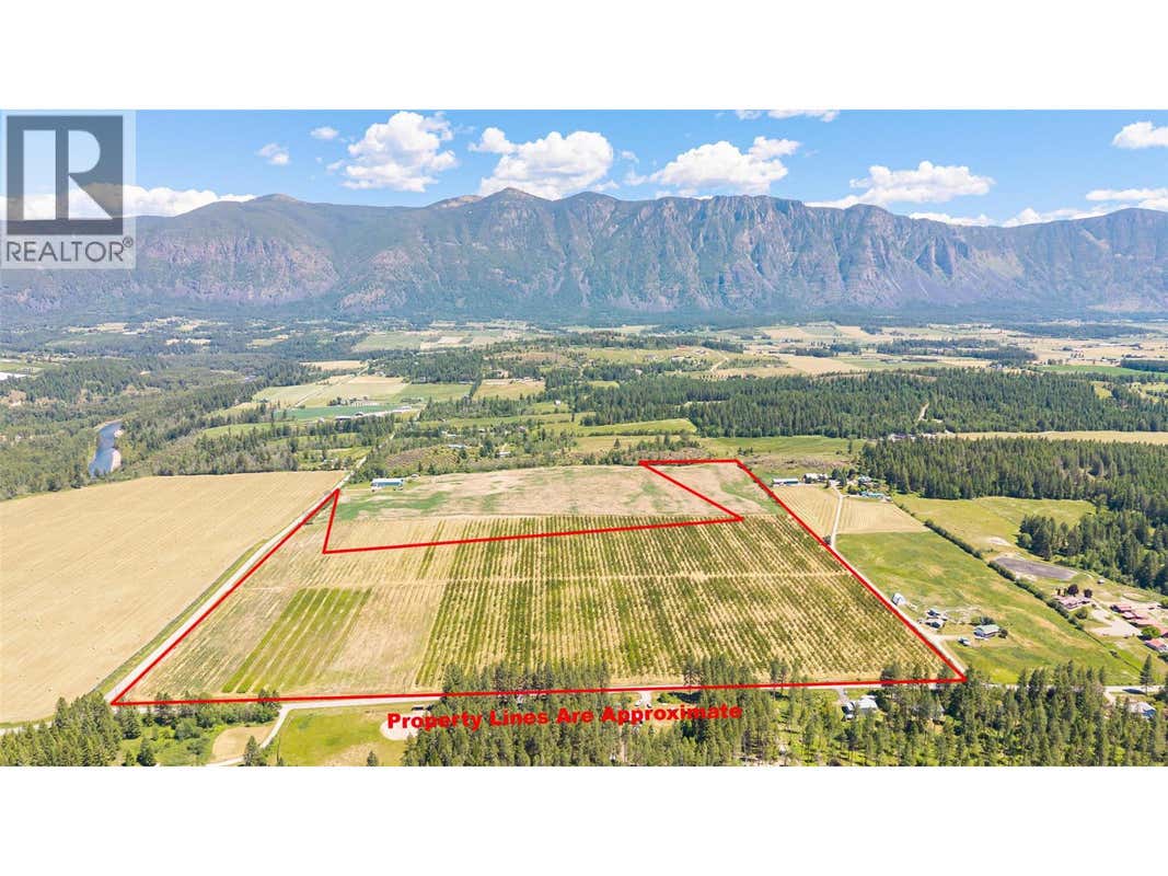 LOT 4