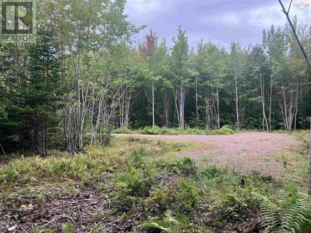 LOT 2020-5 HIGHWAY 223