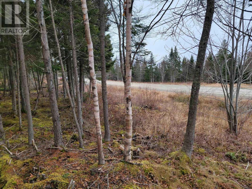 Lot 7 Mountain Road, River Tillard, NS B0E2X0 Land For Sale RE/MAX