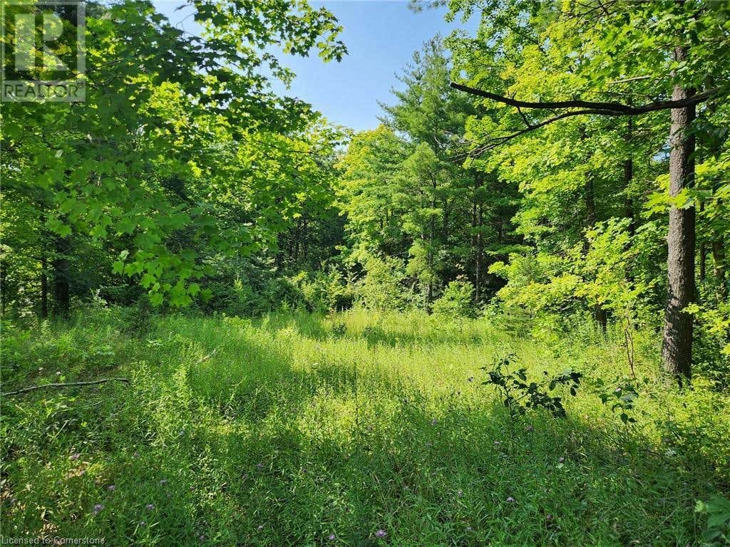 PT LT 26 CONCESSION 6 RD W, Hamilton, ON N1R5S2 Land For Sale RE/MAX