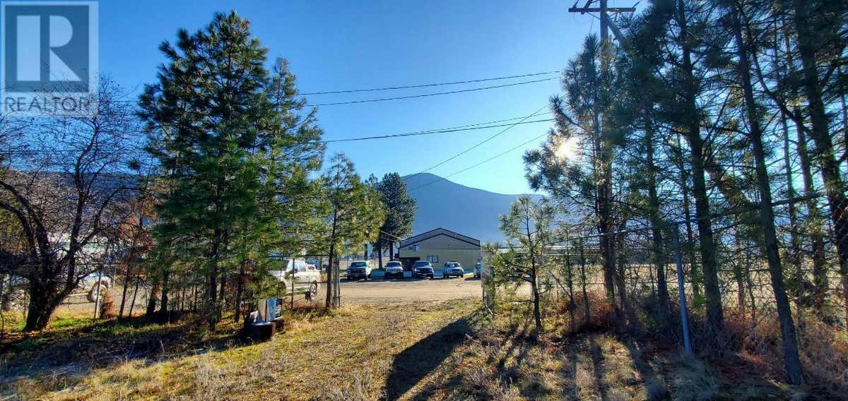 124 SAGAMORE AVENUE, Grand Forks, BC V0H1H4 Land For Sale RE/MAX