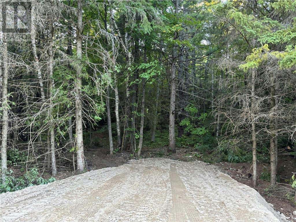 FOYMOUNT ROAD, Foymount, ON K0J1T0 Land For Sale RE/MAX 1411648