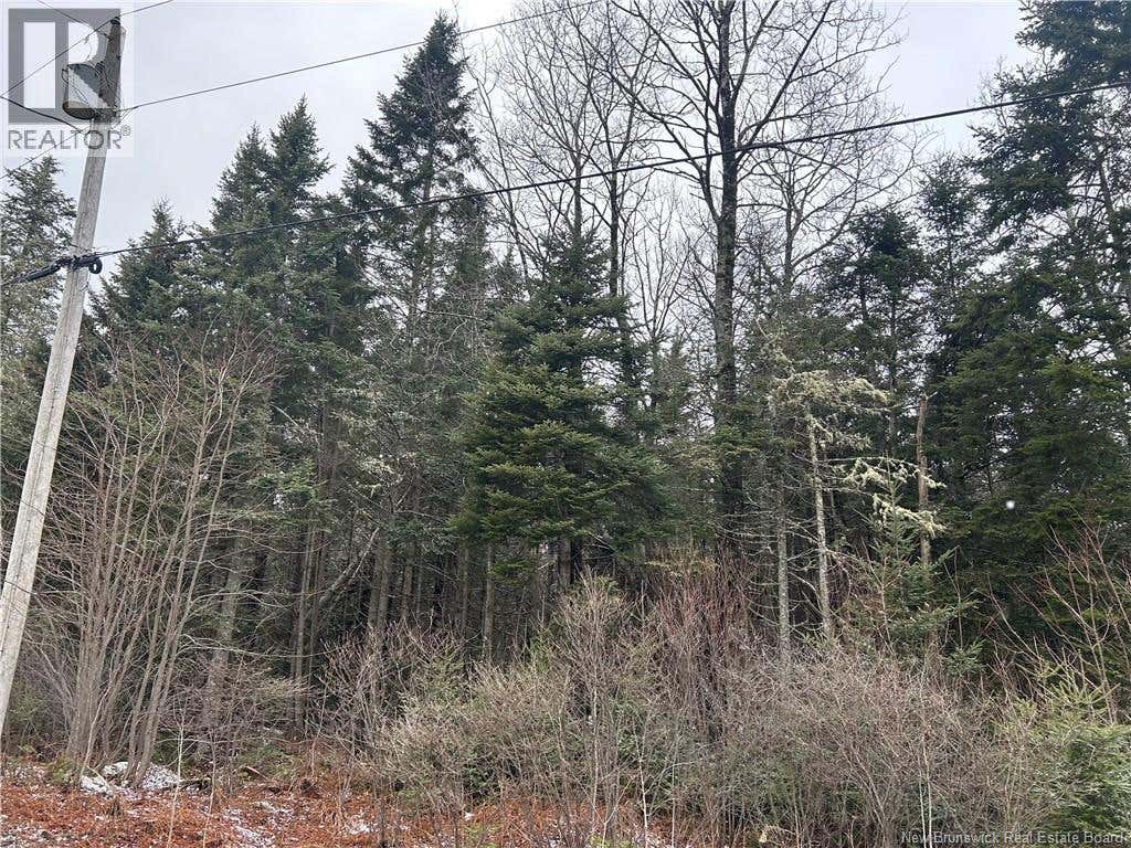 LOT 26-4 BACKLAND