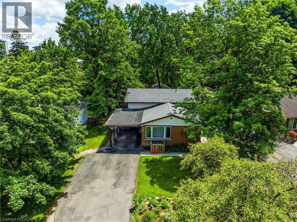 97 BLYTHWOOD ROAD